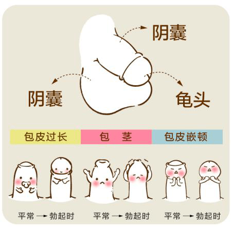 杭州复旦儿童医院黄勇主任告诉您你家小孩到底需不需要割包皮