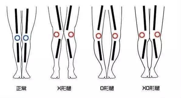 促进宝宝骨骼和牙齿发育,孕期除了补钙,这3种营养素也