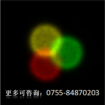 6b89f241e7294080a451550c9d626ff5.png