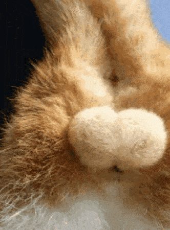 c4891ecc8d66435995634467567f11e3.gif