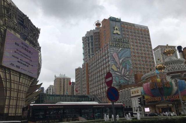 赌王葬礼太豪华！200万造花海，网曝总花费超5