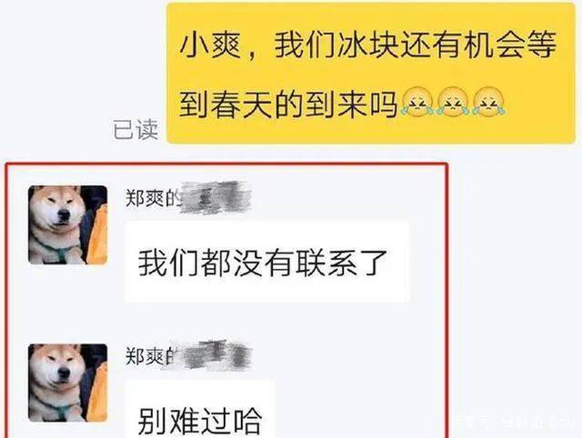 时候|原创分手六年还传复合？郑爽张翰要闹哪样？