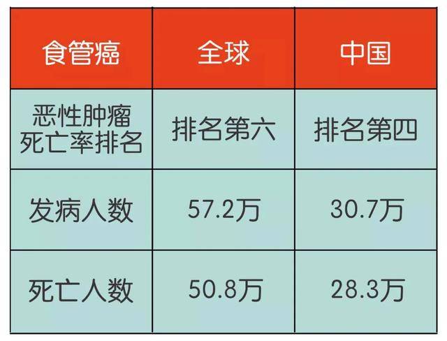 “食管癌”威胁生命！六种人若还不留神，迟早要躺上病床