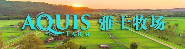 冠军|原创大陆赛马网：Aquis Farm雅士牧场再入驻一匹明星种公马“需进一步”