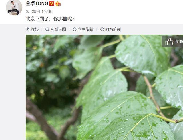 网友|原创仝卓被爆将复出，却沦落到给夜市活动站台？频频作妖糊了太活该