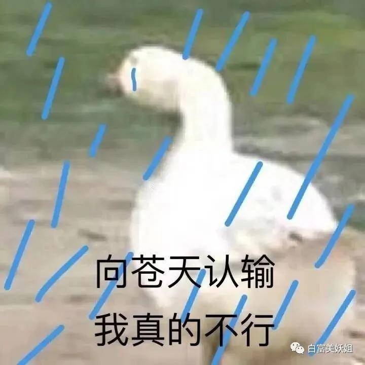 京城|晚晚唯一不敢艳压的女人！说她是京城第一名媛没人反对吧？