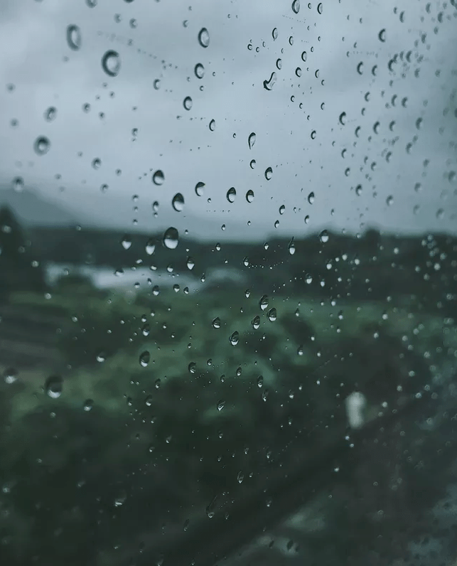 【诗词鉴赏】夏天的雨夜,雨夜的诗,带来了几丝凉意,几