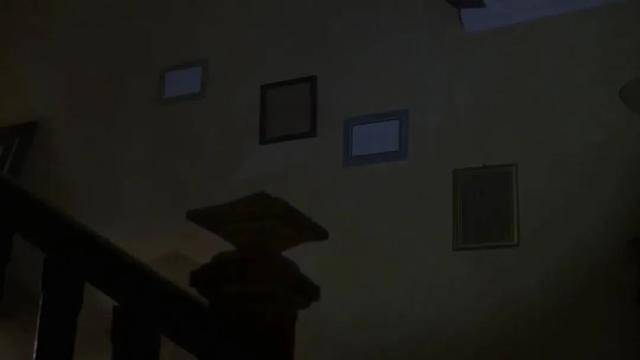 一家|又是真实事件？毁三观