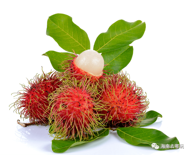 推荐:海南应季热带水果上市时间表,一年四季都有的吃!
