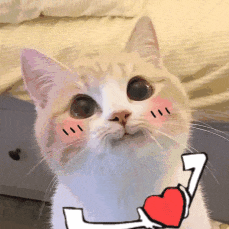 户口|外地户口也能上！在上海容易录取的9所优质公办！不限户籍！