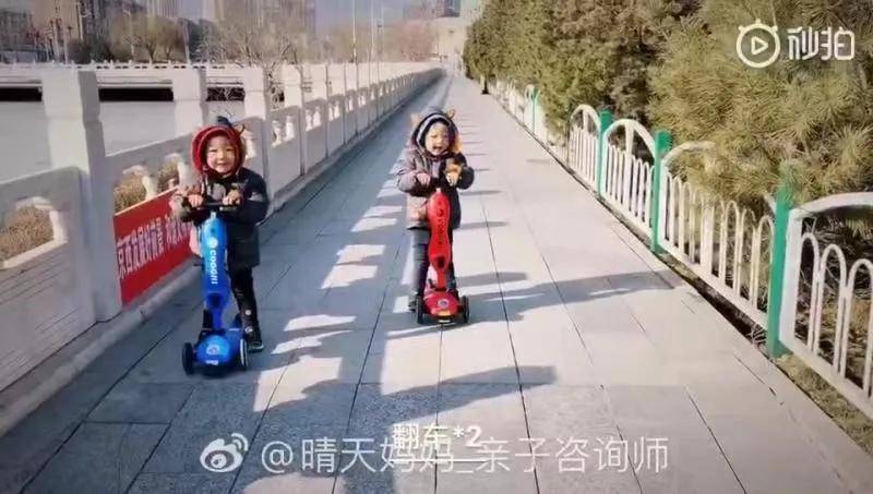 神器|晴天好物 | 明星最爱的遛娃神器，二合一滑板车拔草啦！