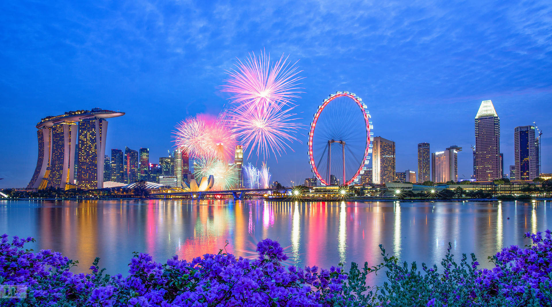 2019新加坡旅游攻略,自助游/自驾/游玩攻略/吃喝玩乐攻略指南-【去哪儿攻略】