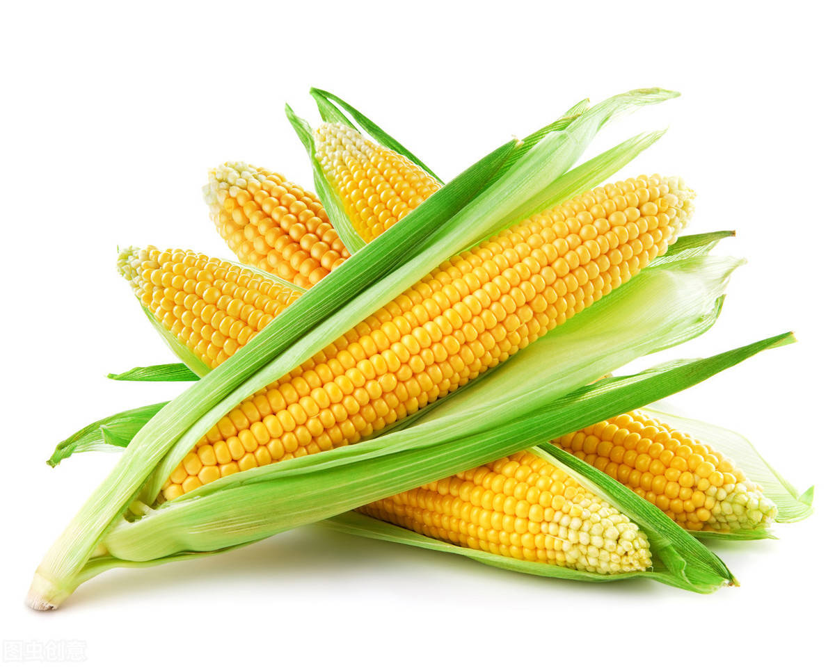 8f9bc540eab748469c913afca331cb66.jpeg