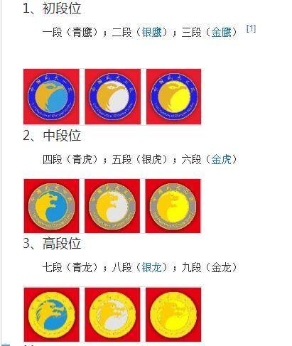 释延觉|释延觉不满武协新规，五点质疑一针见血：滥竽充数的高段位者不少