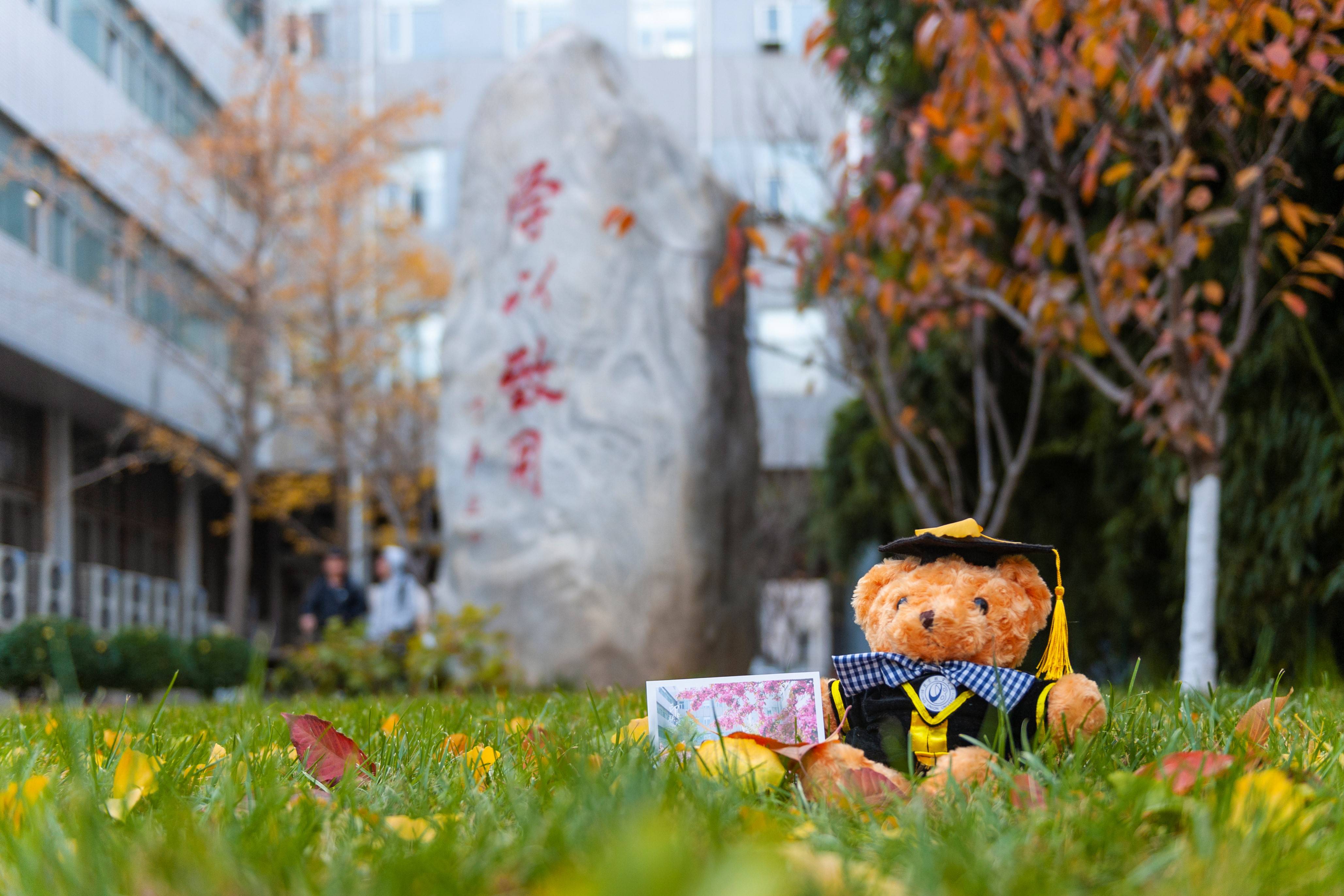 2020北京联合大学排名_北京联合大学2020年招生章程
