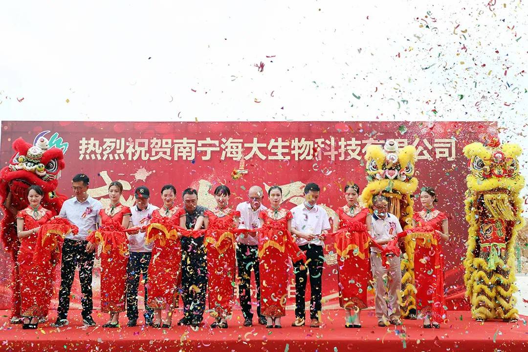 南宁海大开业典礼现场