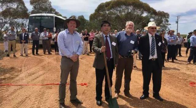 王珍海|有机救不回危机，威龙葡萄酒做错了什么？