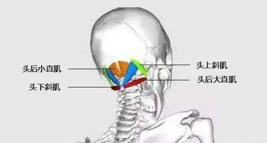 照相头总是歪的怎么办