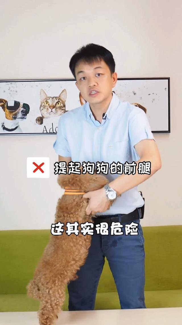 狗狗不让抱怎么办一抱就咬人