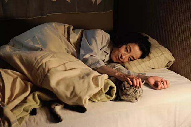 咕咕是只猫电影完整版 3847b7e64e694c169afb2aa66260e20f.jpeg