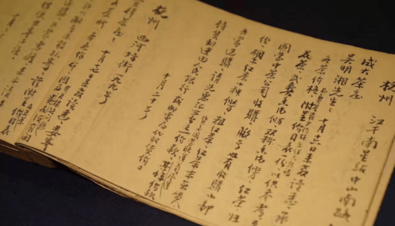 武夷|武夷瑞芳回溯历史展望今朝