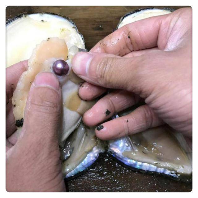 珍珠蚌怎么吃