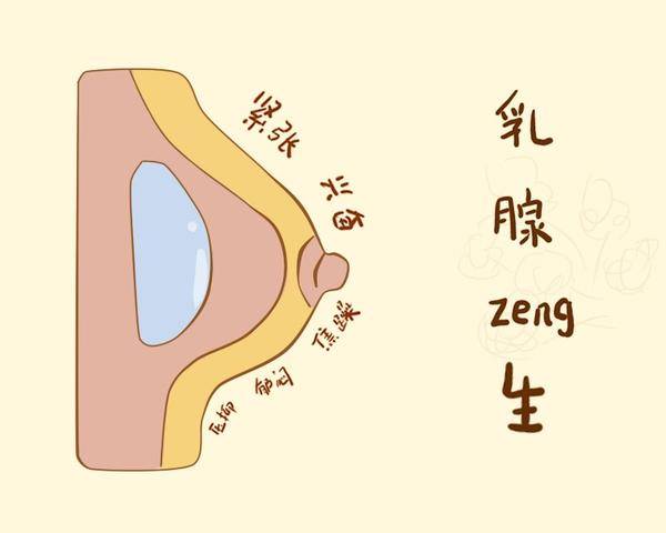 肝郁就会导致血瘀不畅,乳络阻滞,进而出现乳房胀痛,乳房包块