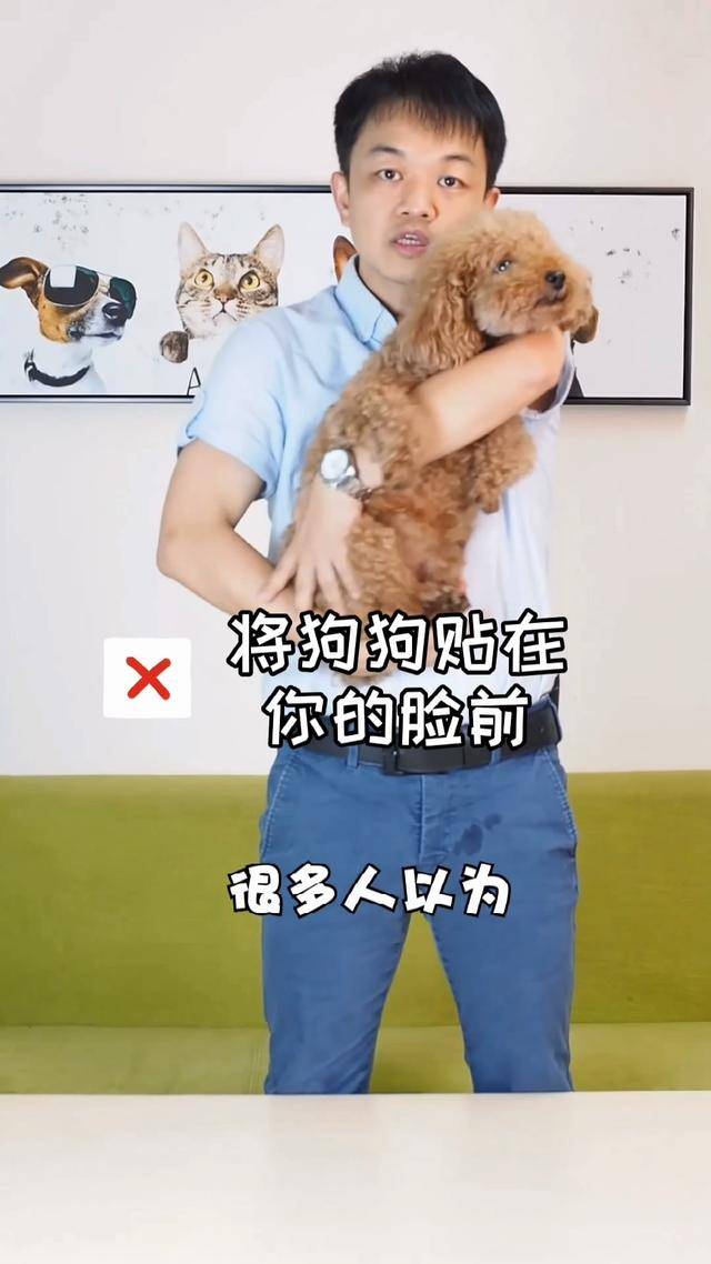 狗狗不让抱怎么办一抱就咬人