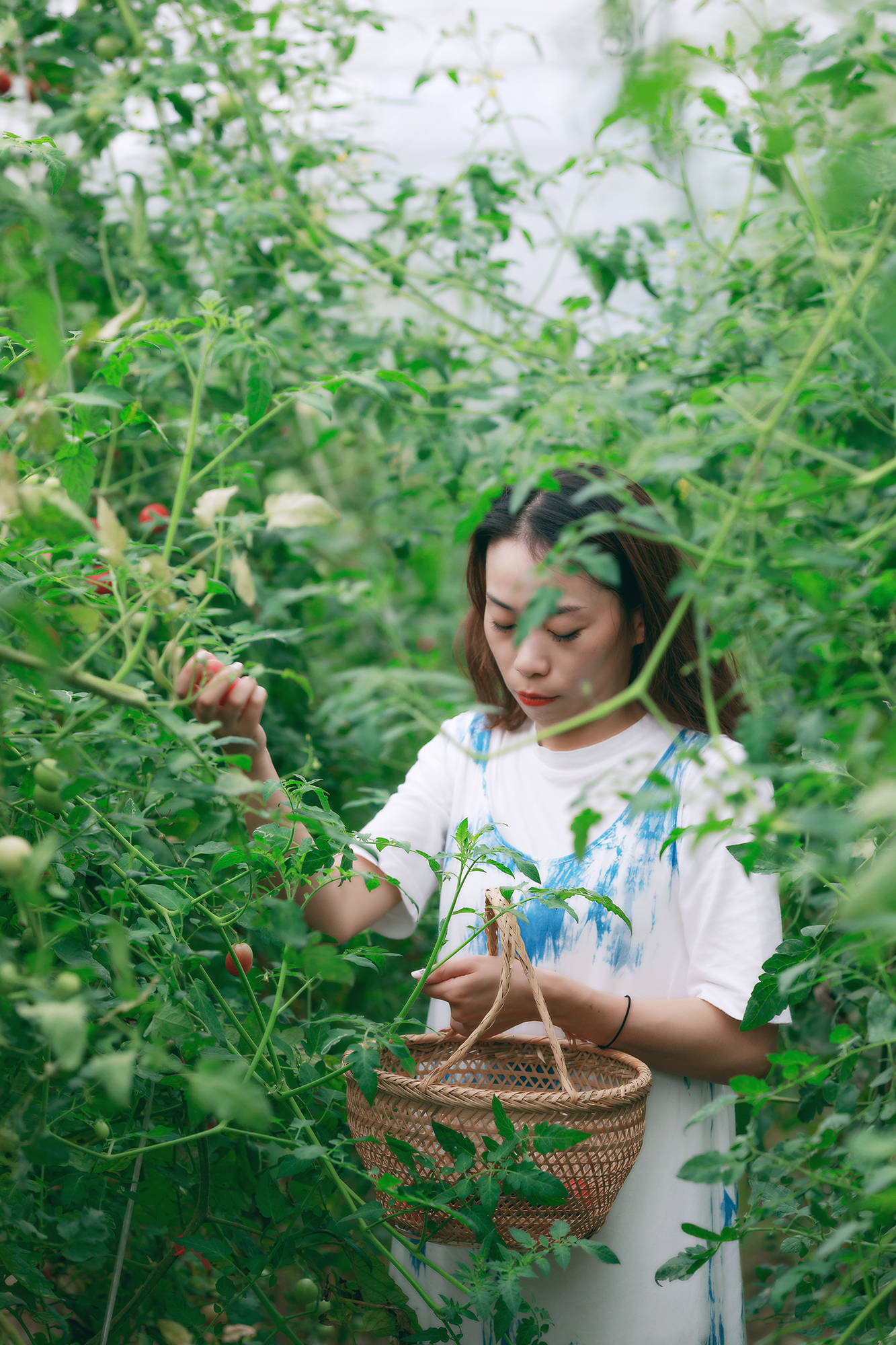 女人|正是蜜桃成熟时，番茄、蓝莓是伴娘夏风掠过北太湖
