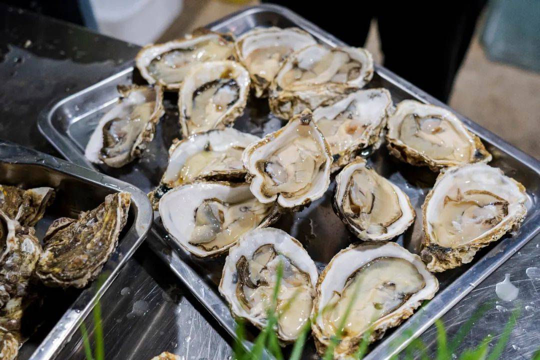 连唐僧|生蚝比47码皮鞋大，连唐僧都无法拒绝藏在昆明小区的老字号烧烤