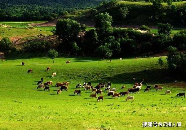 无需远走,北京周边就有几个草原,让您感受大草原的狂放与清新