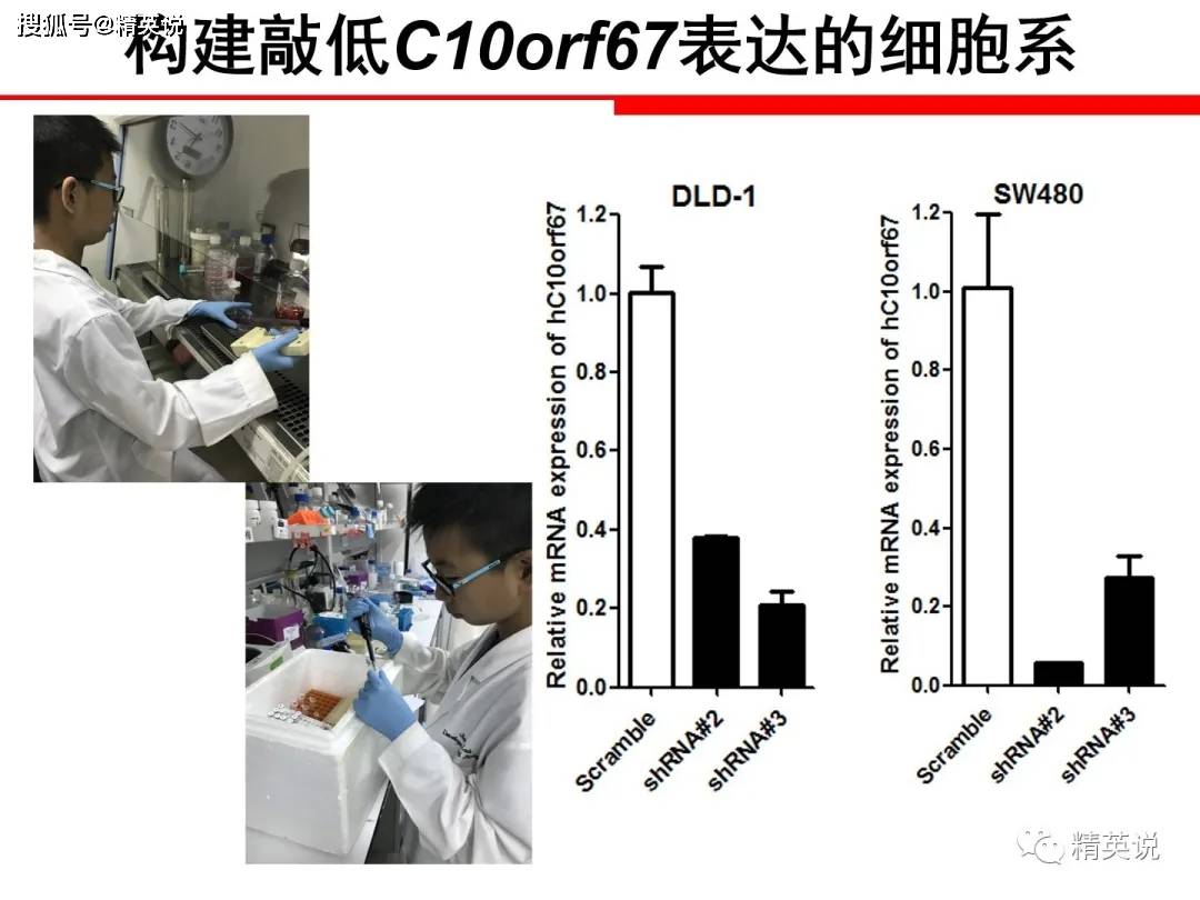 原创家长道歉！官方打假医学“神童”：5天弄懂基因、水平堪比博士，黑幕到底多深