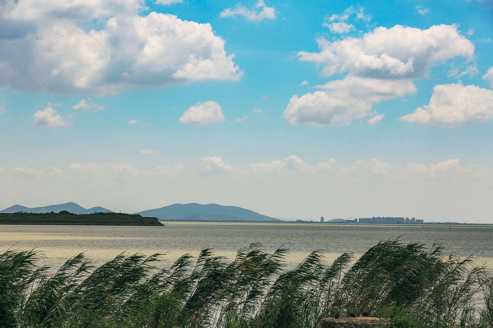 女人|正是蜜桃成熟时，番茄、蓝莓是伴娘夏风掠过北太湖