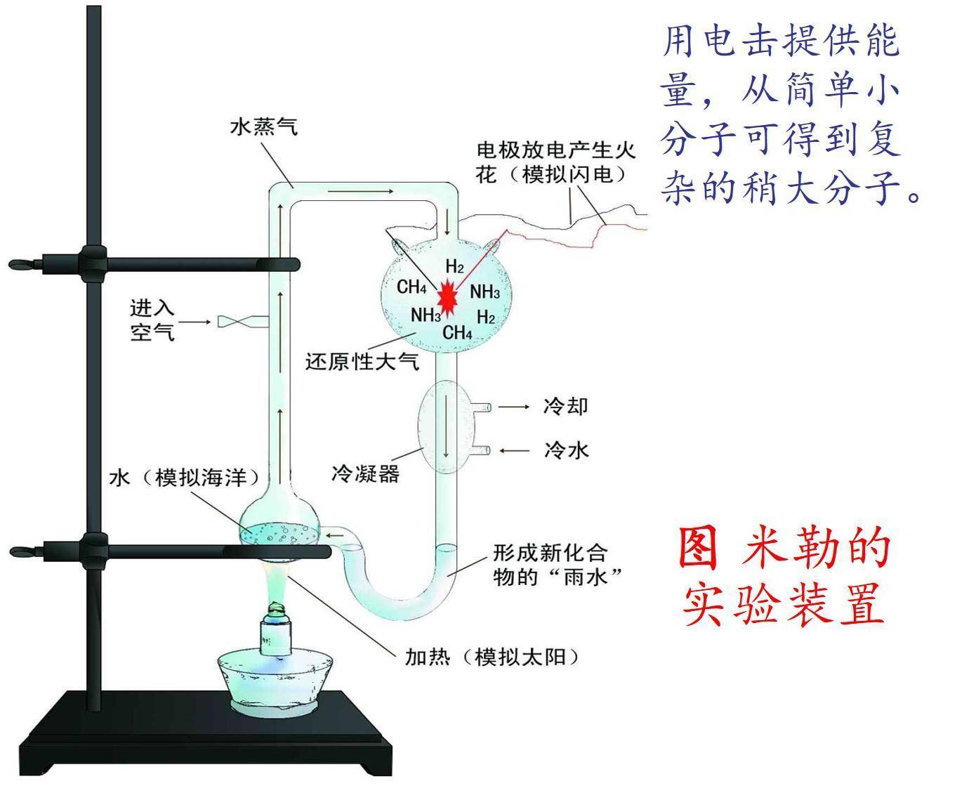 地球原本没有人，那第一个“人”是怎么出现的？