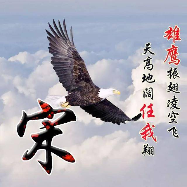 微信头像,天道酬勤雄鹰展翅励志姓氏头像,天高地阔任我翔!