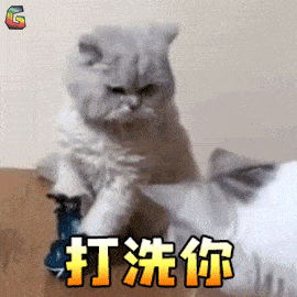 世界表情日自从养了宠物后我便成了朋友圈的王者