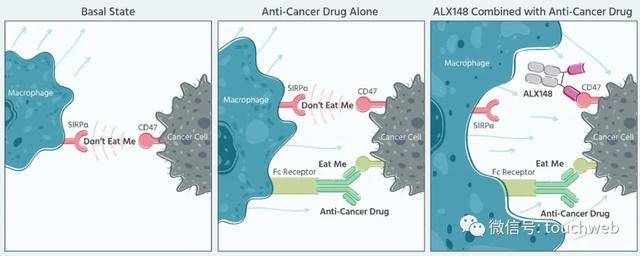 持股|生物医药企业ALX Oncology上市：市值超10亿美元