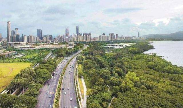 原创深圳一条漂亮的滨海大道,景观不逊色于深南大道,你来看看是不是