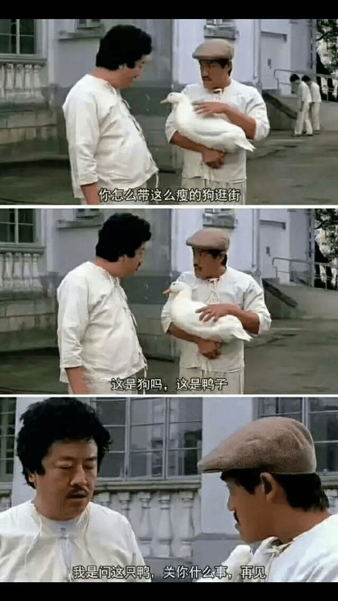 盘点那些年的沙雕台词"哈哈哈明明白白洪世贤可不是浪
