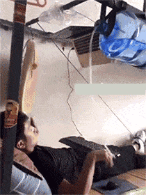 搞笑gif懒猪快起来我找了个美女来陪你