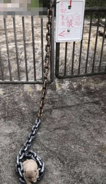 原创
搞笑gif:你要是害怕送,我有办法可以让他们来取!