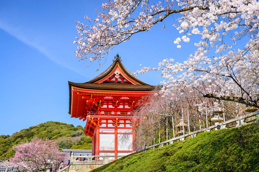 日本清水寺：一个足以代表京都千年古韵的寺院_手机搜狐网
