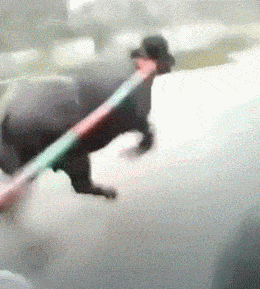 搞笑gif:视频里果然都是骗人的!