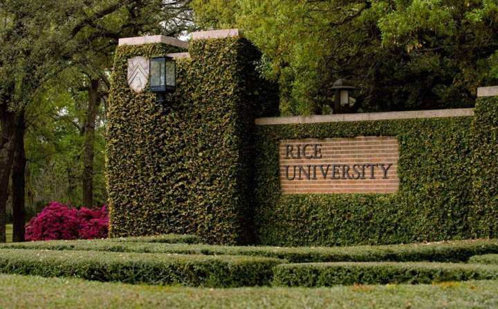 莱斯大学