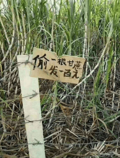 原创
搞笑段子:前女友跟老妈相处的非常好,甚至她结婚邀请了老妈…