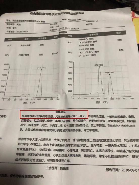 检疫|网购宠物到家3天就死了 违法快递为何屡禁不止？