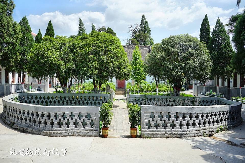 楚王|河南这所小学 藏中国唯一楚王行宫遗址 千年古柏屡冒青烟实属罕见