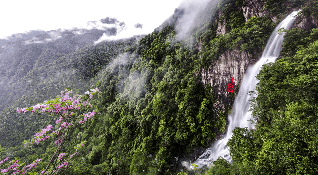 来江西必看江西三百山景区