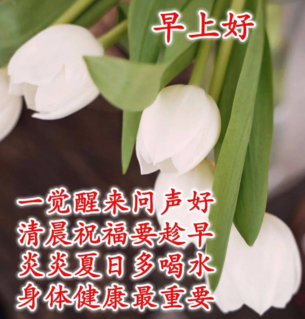 周二最美早上好暖心祝福图片,愿快乐与你朝夕相处