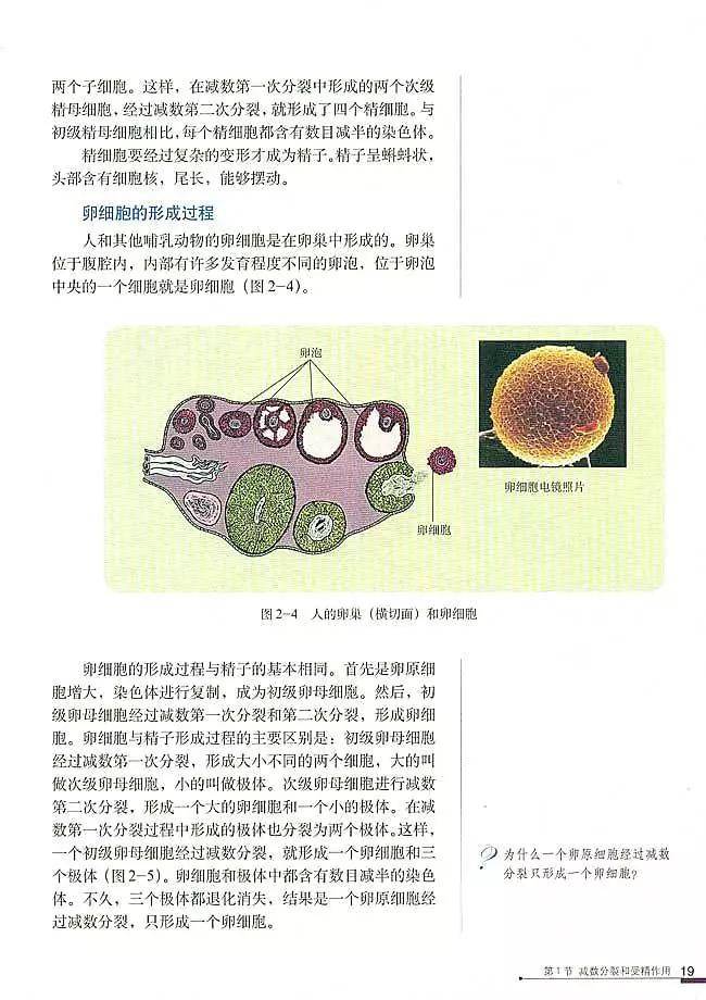 人教版高中生物必修2《遗传与进化》电子课本(高清pdf版)